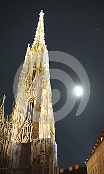 Stephansplatz at night photo