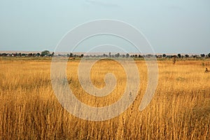 Steppe photo