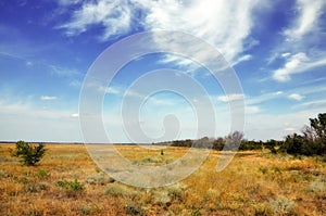 Steppe photo