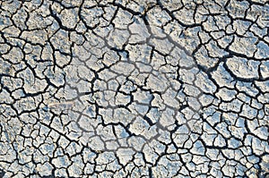 Steppe cracked clay earth in the summer