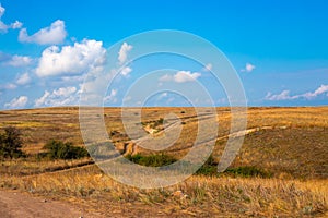 Steppe dirt roads with dry grass and blue sky. Summer steppe landscape