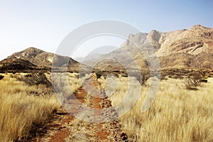 Steppe erongo mountains