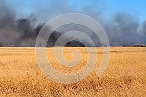 Steppe fire. Burning dry grass, fire smoke