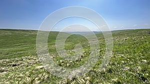 Steppe - Grasslands - Landscape mosaic