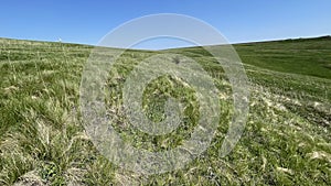 Steppe - Grasslands - Landscape mosaic