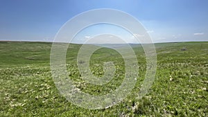 Steppe - Grasslands - Landscape mosaic