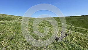 Steppe - Grasslands - Landscape mosaic