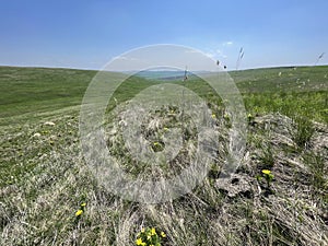 Steppe - Grasslands - Landscape mosaic