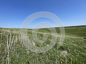 Steppe - Grasslands - Landscape mosaic