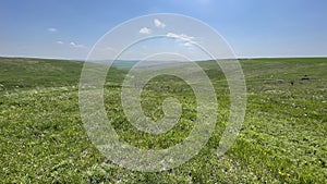 Steppe - Grasslands - Landscape mosaic