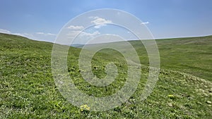 Steppe - Grasslands - Landscape mosaic