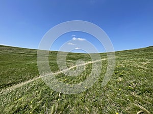 Steppe - Grasslands - Landscape mosaic