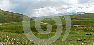Steppe Kazakhstan, Trans-Ili Alatau, plateau Assy,