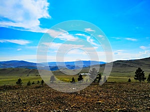 Steppe landscape on a summer day in Dali mountains on a clear day against a blue sky