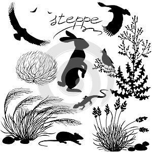 Steppe plants and animals set