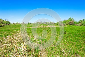 Steppe, prairie, veld, veldt