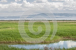 Steppe, prairie, veld, veldt.