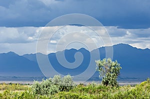 Steppe, prairie, veld, veldt.