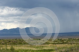 Steppe, prairie, veld, veldt.