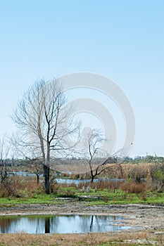 Steppe, prairie, veld, veldt photo