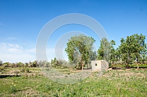 steppe, prairie, veldt, veld photo