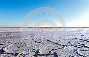 Steppe saline soils. Steppe prairie veldt veld. photo