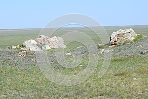 The steppe is wide, boundless, large stones in the steppe complement the spring landscape.