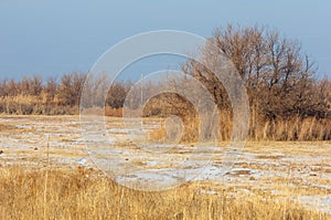 The steppe in the winter, the river or Kazakhstan. Kapchagai Bakanas