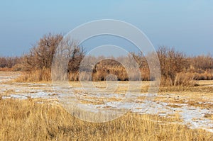 The steppe in the winter, the river or Kazakhstan. Kapchagai Bakanas