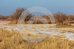 The steppe in the winter, the river or Kazakhstan. Kapchagai Bakanas