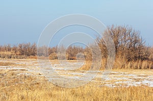 The steppe in the winter, the river or Kazakhstan. Kapchagai Bakanas