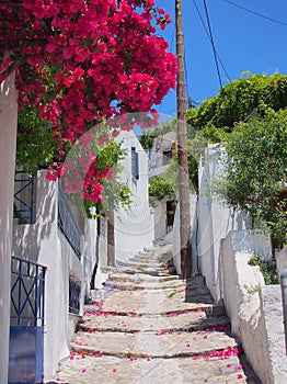 Stepped Path, Skyros Greek Island