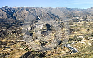 Stepped Terrace Farming in the Colca Canyon, Peru