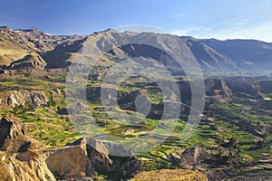 Stepped terraces in Colca Canyon in Peru