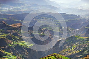 Stepped terraces with morning fog in Colca Canyon, Peru