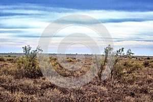 In the steppes of southern Kazakhstan.