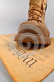 Stepping on the Constitution photo