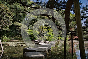 The stepping stone bridge in the pond. Kyoto Japan