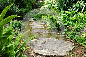 Stepping Stone Garden Path photo