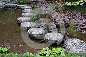 Stepping stone in garden photo