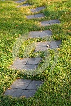 Stepping stone path on grass