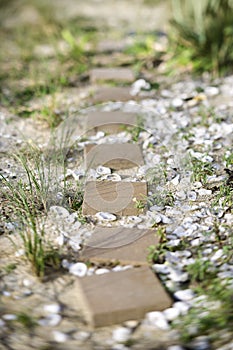 Stepping stone pathway