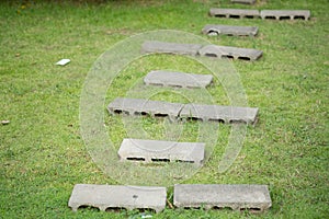 Stepping stone pathway with green lawn