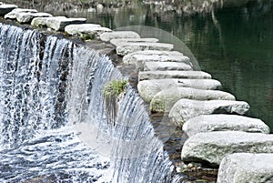 Stepping stone and water