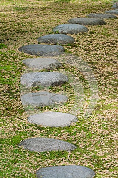 Stepping Stones