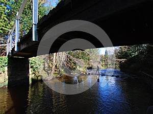 Stepping Stones accross river