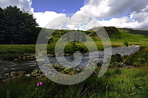 Stepping Stones across the river