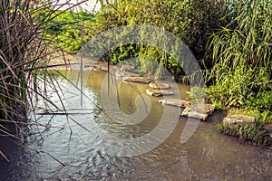 Stepping stones across stream