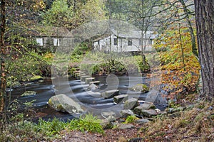 Stepping stones in an autumn woodland scene