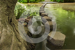 Stepping stones Boxhill, Surrey, England g photo